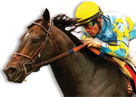 Et des stats de folie !!!